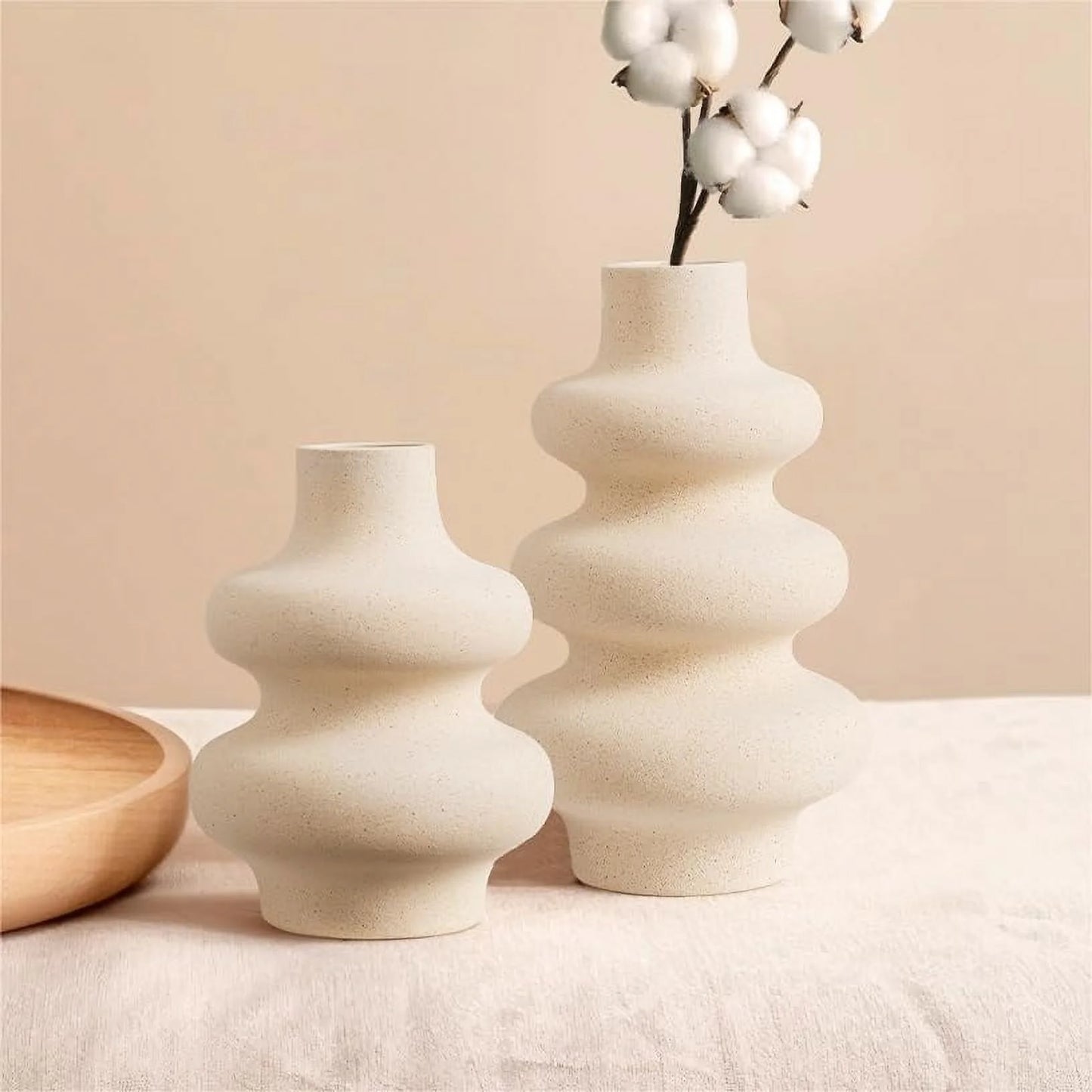 Modern Unique Matte Ceramic Vases - Set of 2 